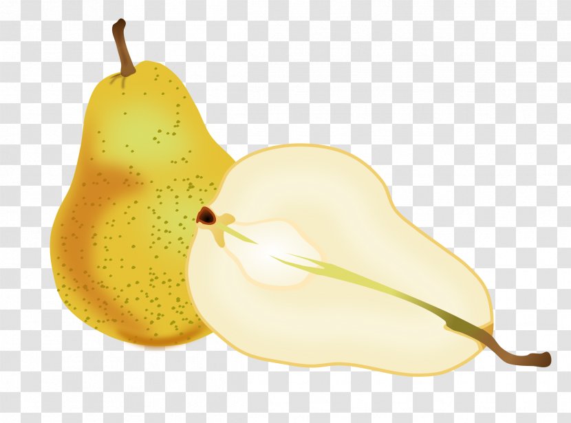 Asian Pear Fruit Clip Art - Food Transparent PNG