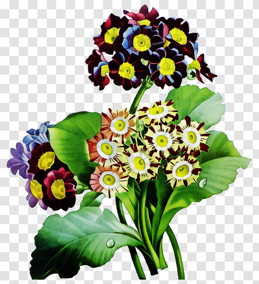 Floral Design Transparent PNG