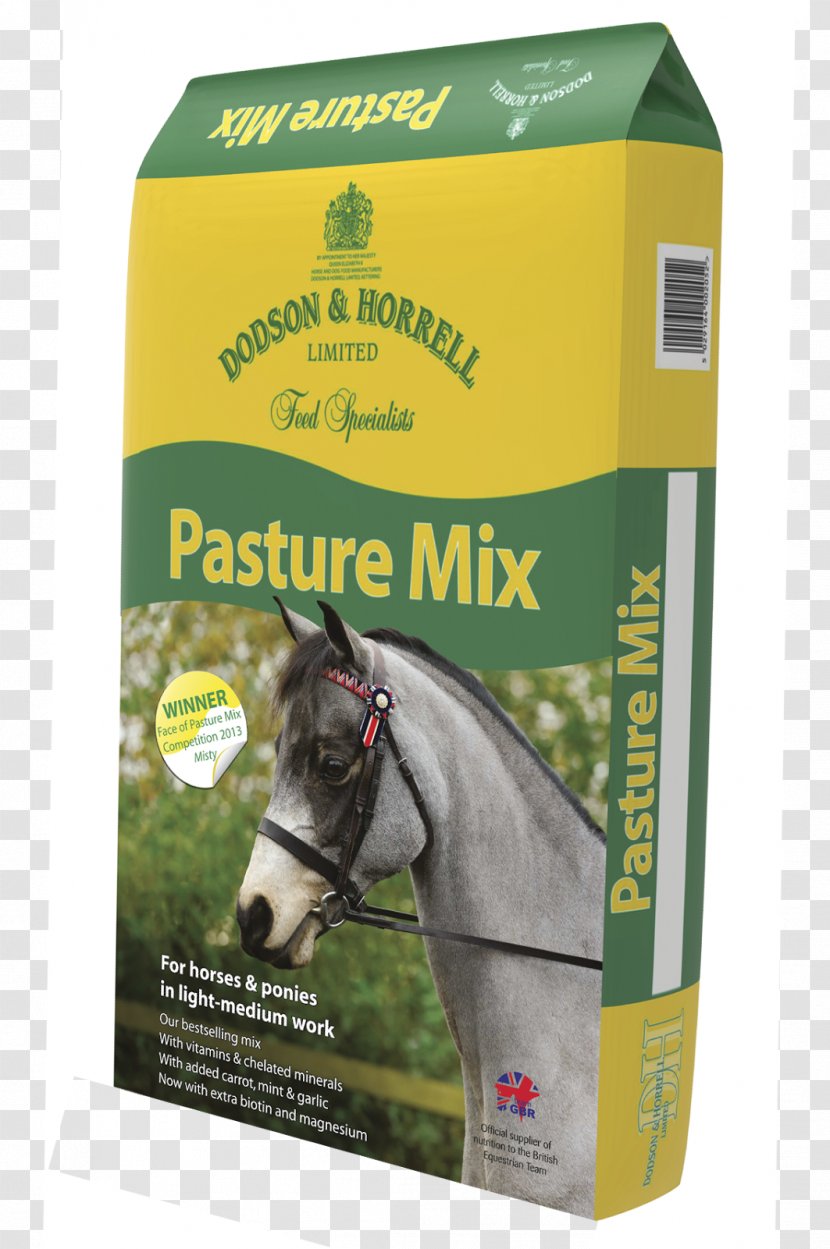 Horse Dodson & Horrell Ltd Pony TCS Country Supplies Berkeley - Grass Transparent PNG