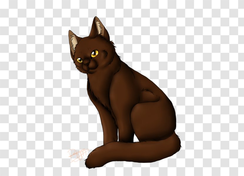Whiskers Spottedleaf Firestar Review Fictional Universe - Carnivoran - Small To Medium Sized Cats Transparent PNG