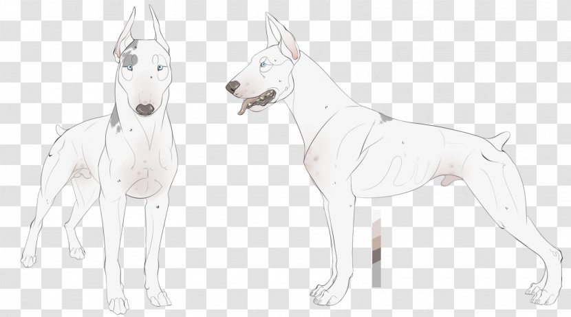 Dog Breed Sketch Non-sporting Group Line Art - Non Sporting - Crane Build Sheet Template Transparent PNG
