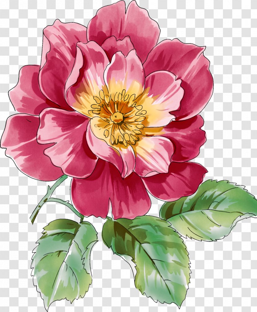 Flower Best Roses Watercolor Painting - Frangipani Transparent PNG