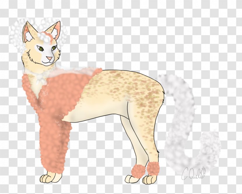 Whiskers Red Fox Cat Dog Breed - Fauna Transparent PNG