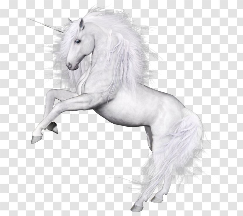 Unicorn - Fictional Character Transparent PNG