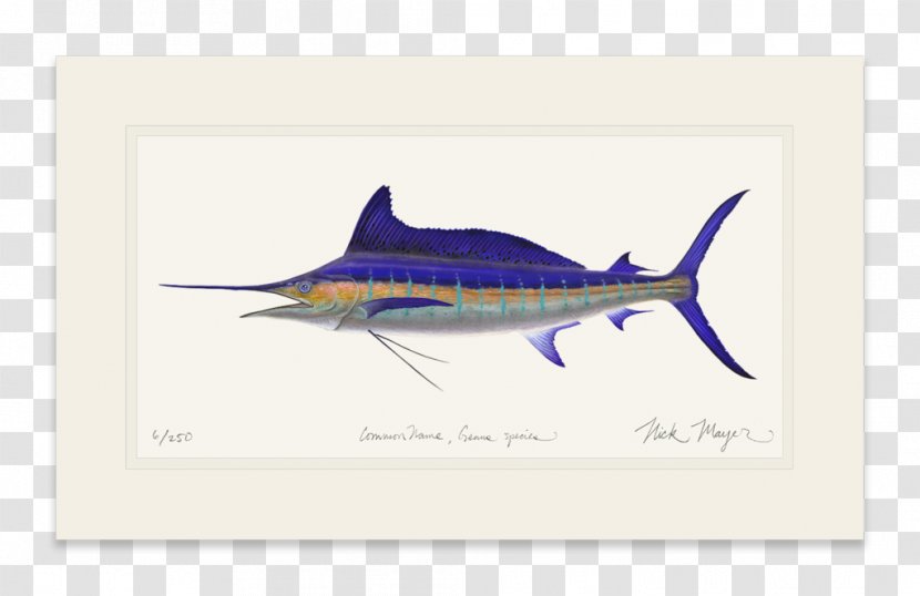 Swordfish Requiem Sharks - Shark Transparent PNG