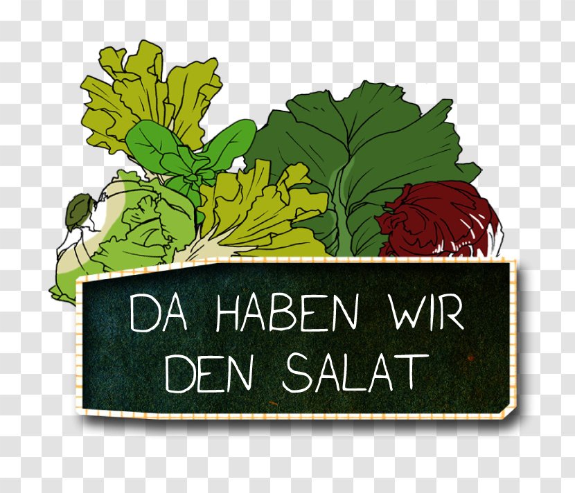 Text Leaf Vegetable Party - Flowering Plant - Salats Transparent PNG