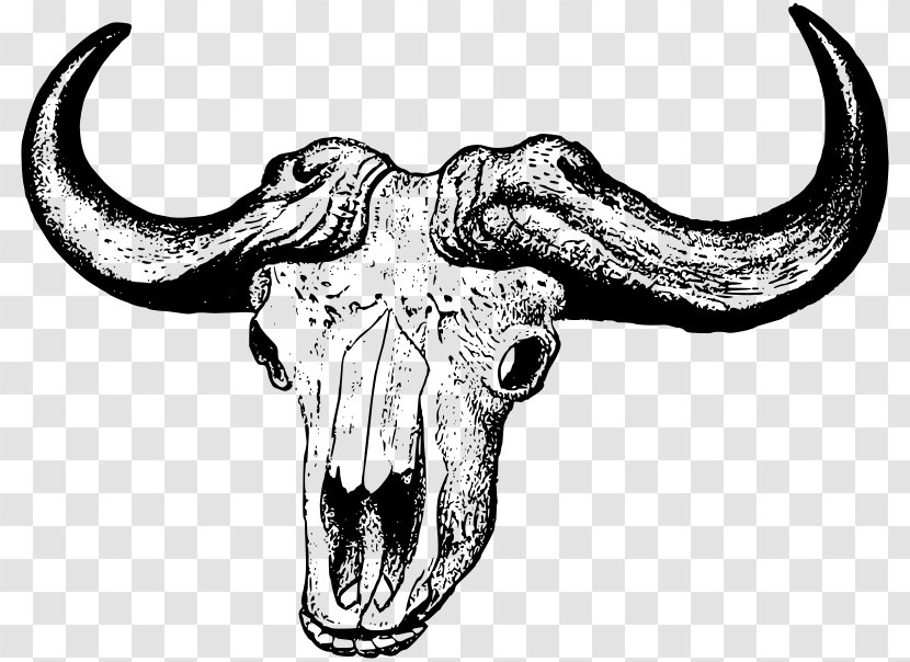 Skull Clip Art - Monochrome - Buffalo Transparent PNG