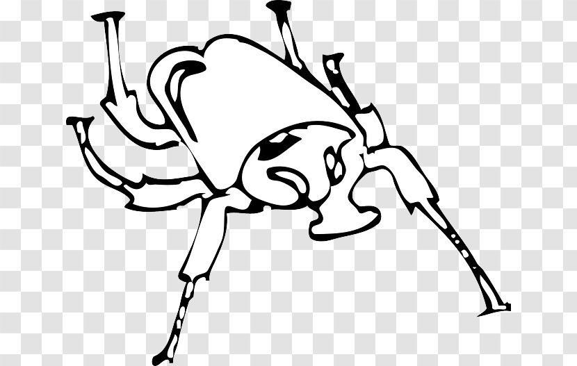 Asiatic Rhinoceros Beetle Insect Wing Black And White - Cartoon - Horned Icon Transparent PNG