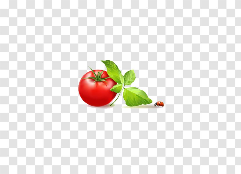 Tomato Le Relais Saint Clair Vegetable - Natural Foods Transparent PNG