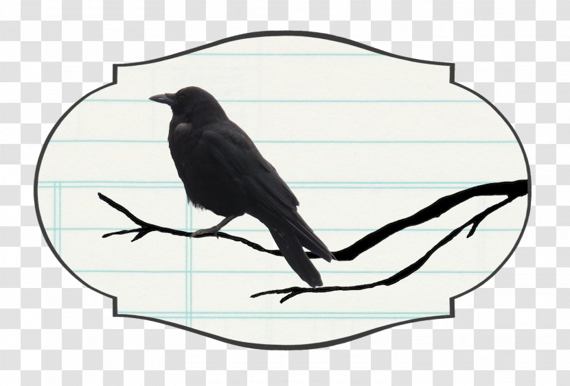 Crow Family Bird Intelligence Raven YouTube - Fauna Transparent PNG
