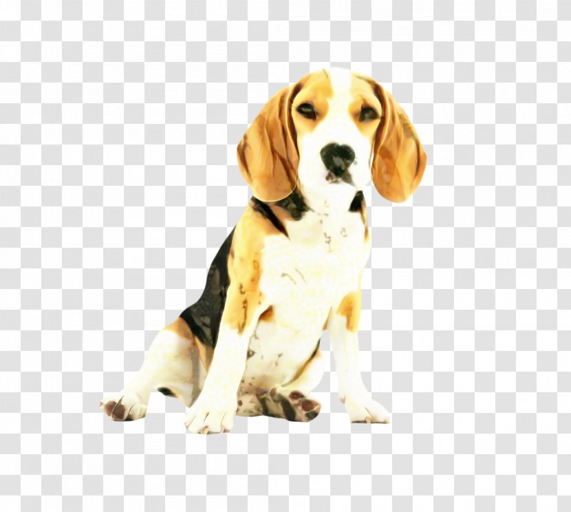 Dog And Cat - Breed - Artois Hound Puppy Transparent PNG