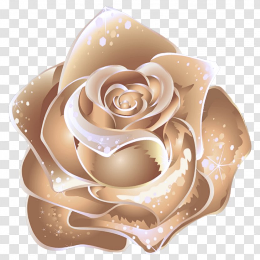 Garden Roses - Rose Order - Plant Transparent PNG