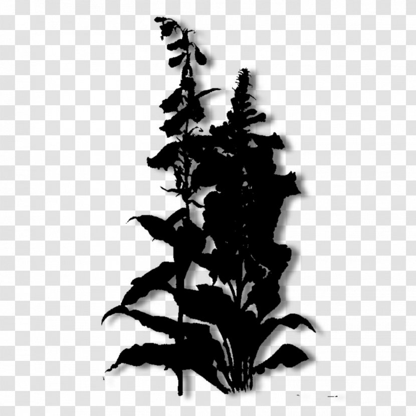 Leaf Font Silhouette Tree - Blackandwhite Transparent PNG