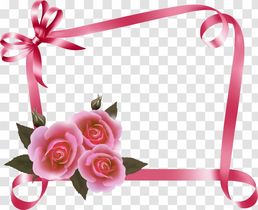 Garden Roses Greeting & Note Cards Flower Floral Design - Cut Flowers Transparent PNG
