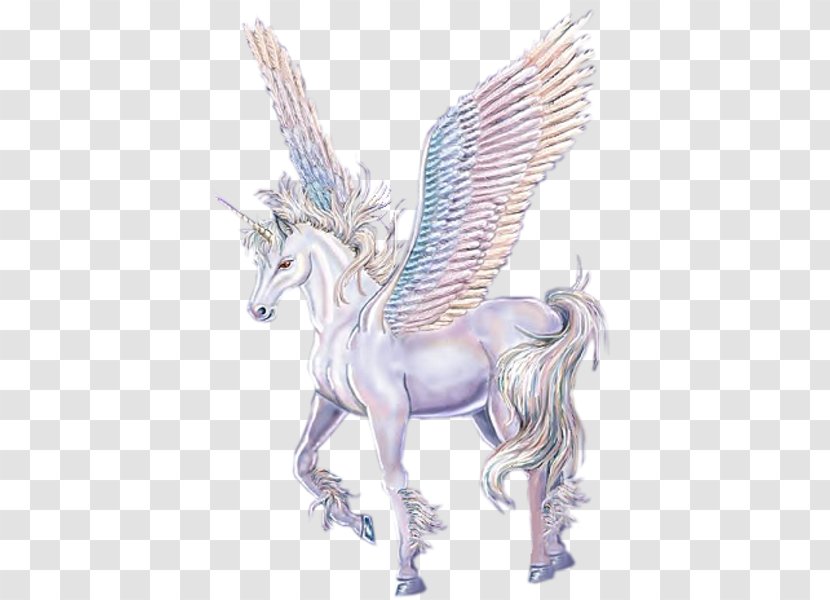 Horse Winged Unicorn Legendary Creature Pegasus - Fictional Character Transparent PNG