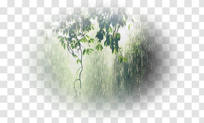 Rain Monsoon Condensation Wet Season Storm - Water Transparent PNG