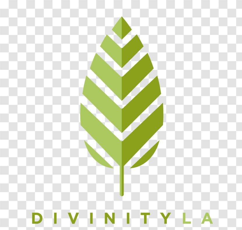 Logo Culver City Bracelet Business Divinity - Grass - Marine Life Transparent PNG