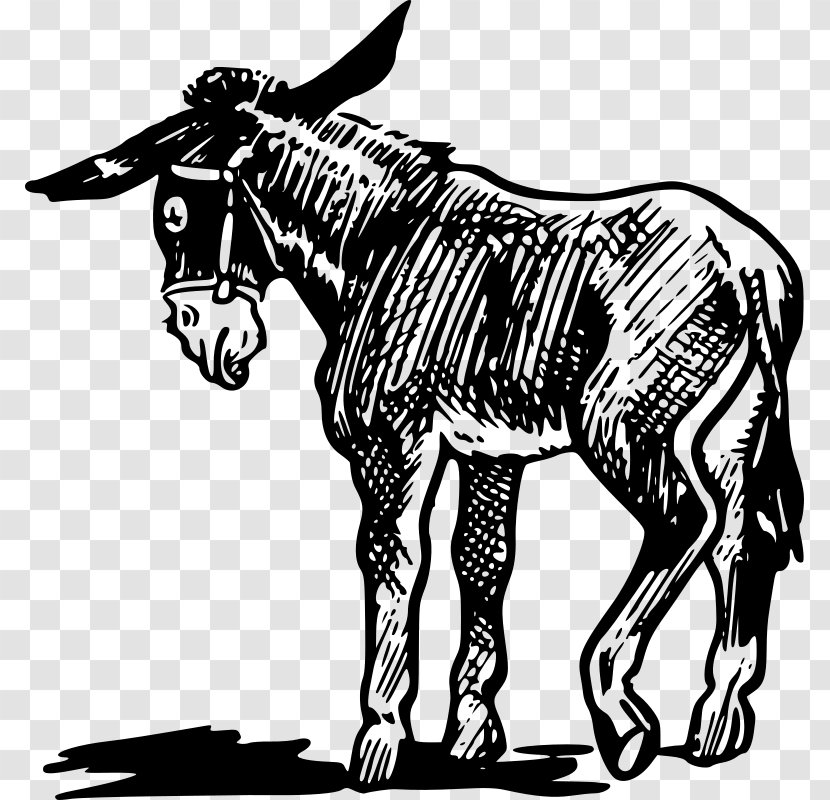 Donkey Clip Art - Mule Transparent PNG
