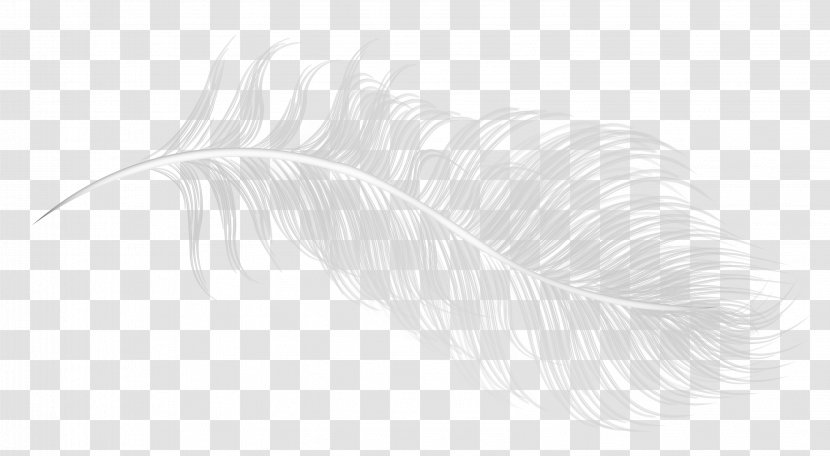 White Pattern - Stock Photography - Creative Feather Transparent PNG