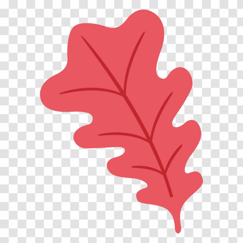 Leaf Red Tree Plant Woody - Flower Heart Transparent PNG