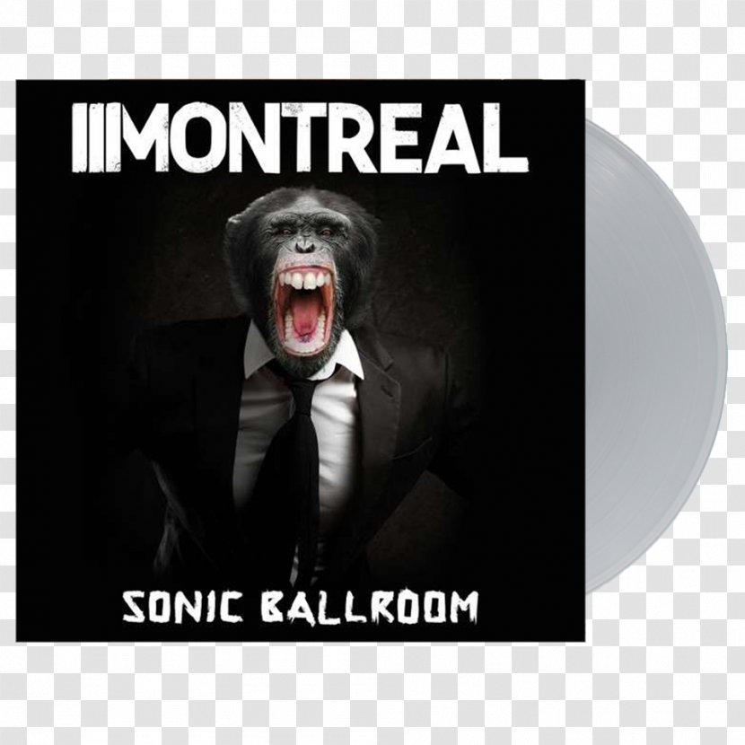 Montreal Sonic Ballroom Auf Der Faulen Haut Tag Zur Nacht Album - Photo Caption - Bonus Transparent PNG