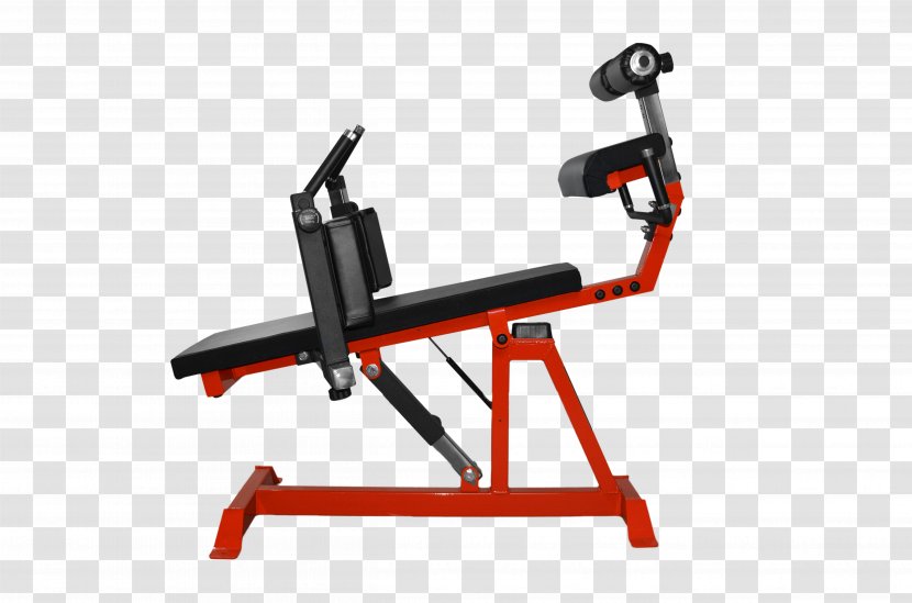 Bench Strength Training Barbell Fitness Centre Weight - Frame Transparent PNG