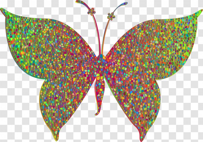 Butterfly Moth Color Insect Clip Art - Symmetry Transparent PNG