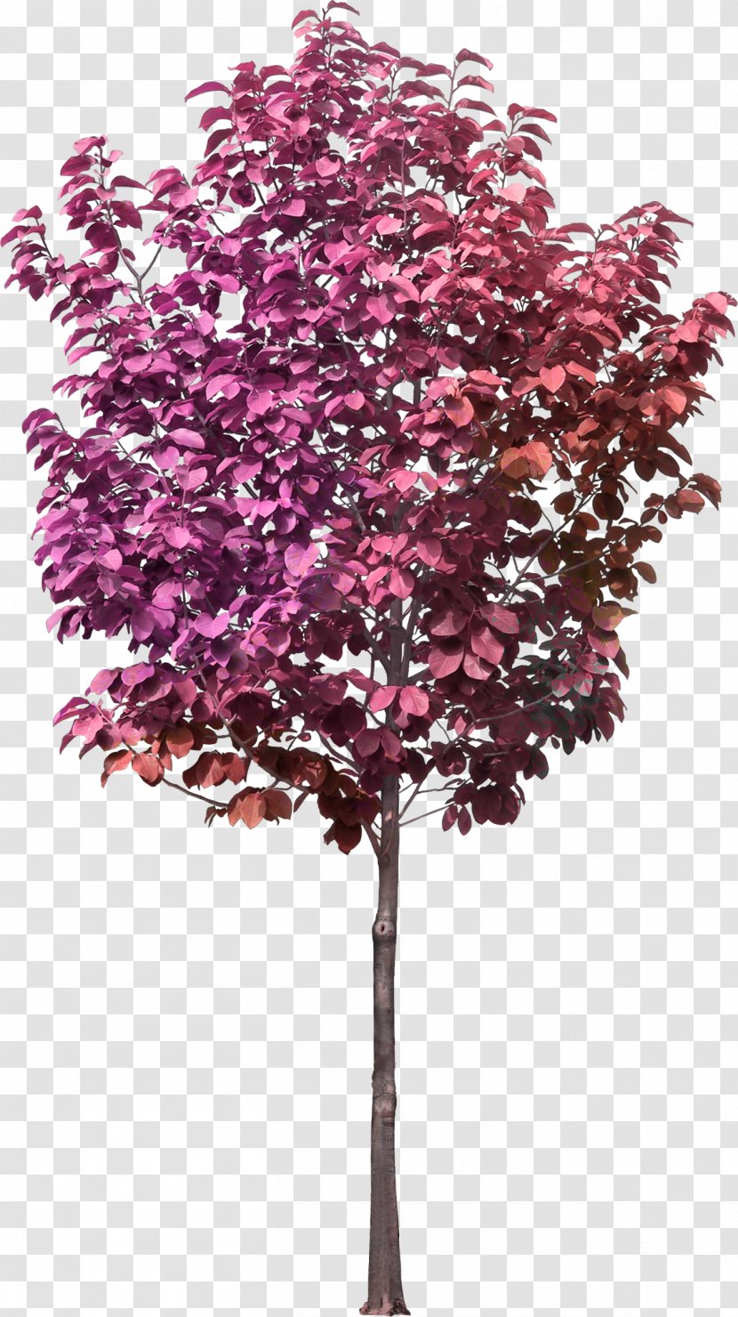 Castorama Cachepot Flowerpot Leroy Merlin Crock - Jardiland - Pink Tree Transparent PNG