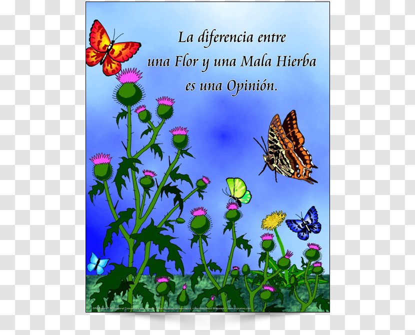 Monarch Butterfly Brush-footed Butterflies Fauna Calendar - Text Messaging - Teamwork Motivational Posters Spanish Transparent PNG