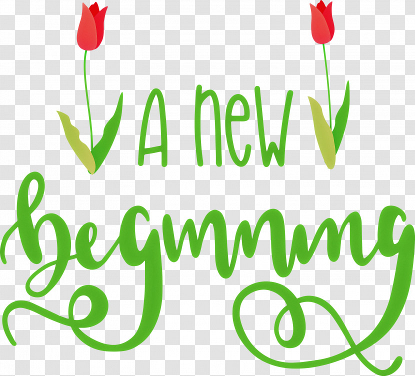 A New Beginning Transparent PNG