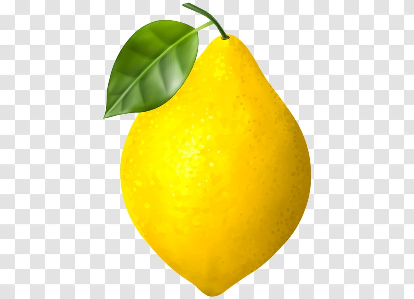 Pear Fruit Yellow Tree - Lemon - Citrus Woody Plant Transparent PNG