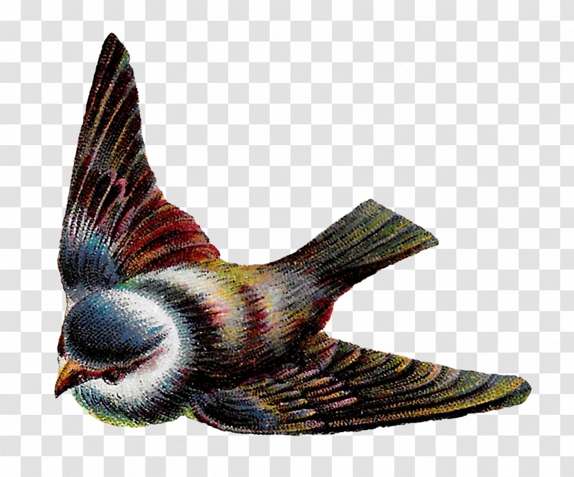 Bird Nest Flight Feather Clip Art - Flying Transparent PNG