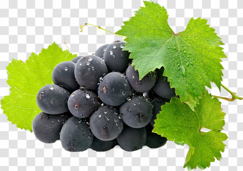 Common Grape Vine Fruit Clip Art - Zante Currant - Grapes Transparent PNG