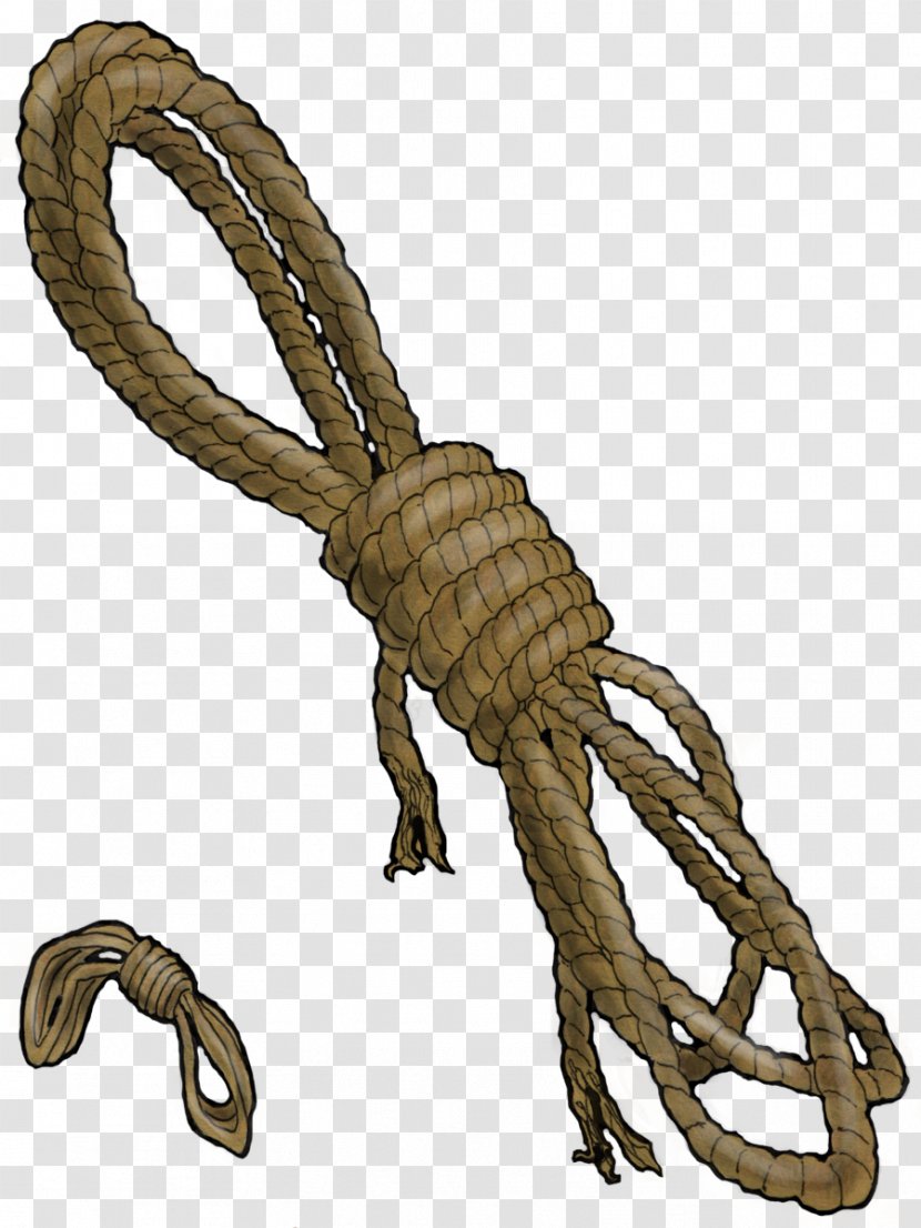 Reptile Rope Transparent PNG