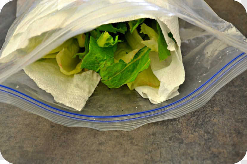 Wrap Leaf Vegetable Romaine Lettuce - Food Transparent PNG