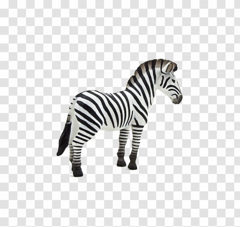 Zebra Cartoon - White - Mane Blackandwhite Transparent PNG