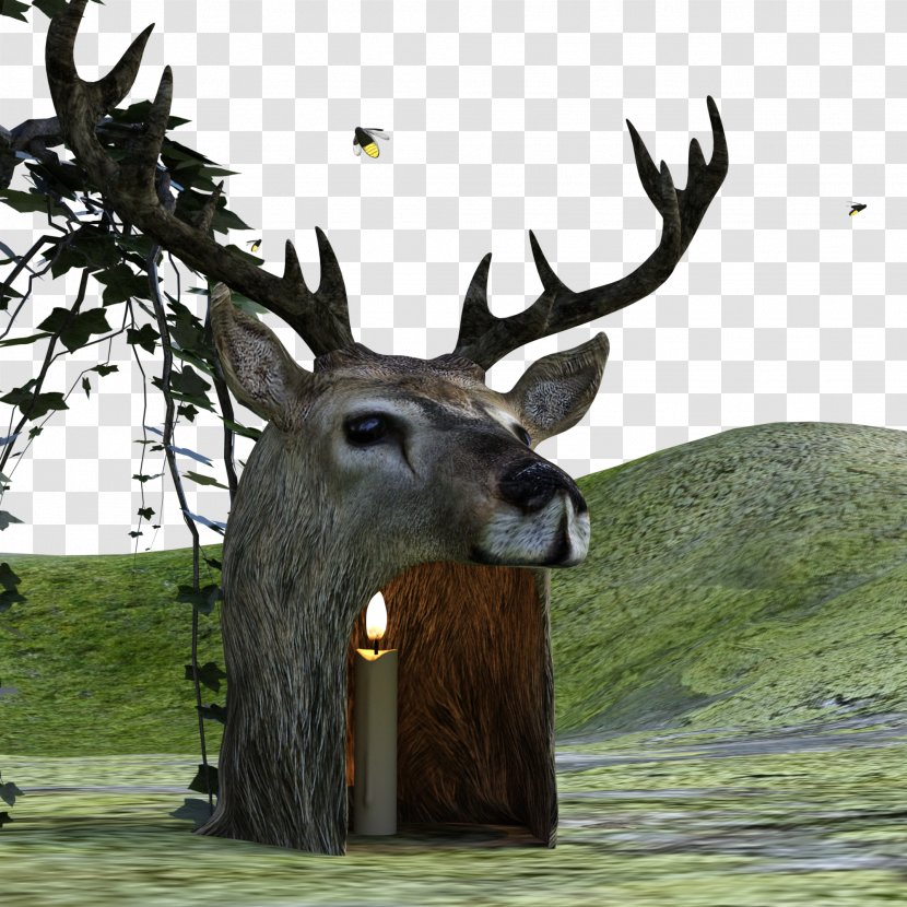 Elk Reindeer Game White-tailed Deer - Terrestrial Animal - 3D Transparent PNG