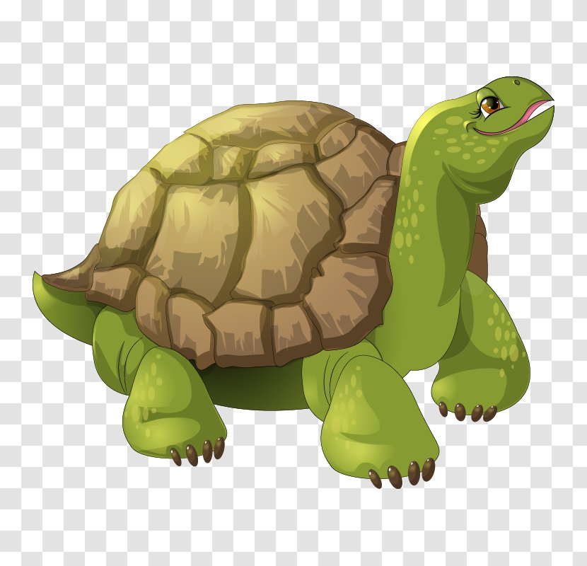 Turtle Stock Photography Royalty-free Image Illustration - Fictional Character Transparent PNG