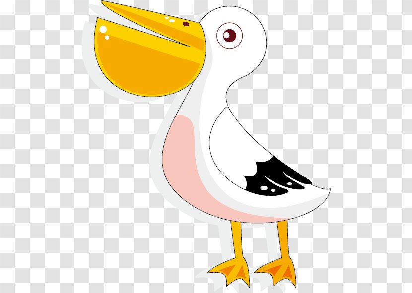Duck Pelican Cartoon Illustration - Art - Cute Transparent PNG