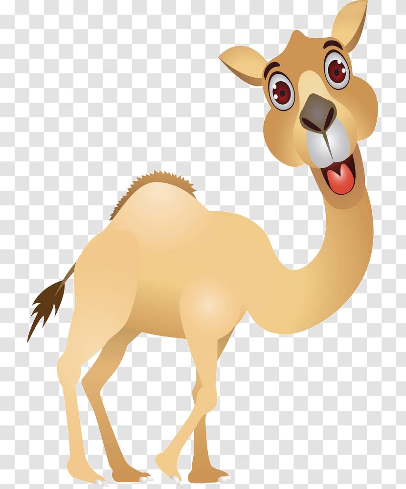 Camel Cartoon Royalty-free Clip Art - Tail - Hand Painted Transparent PNG