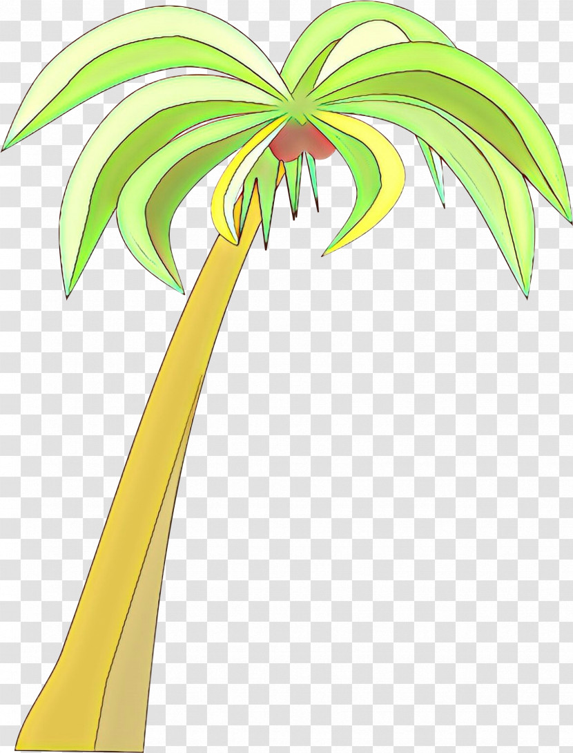 Palm Tree Transparent PNG