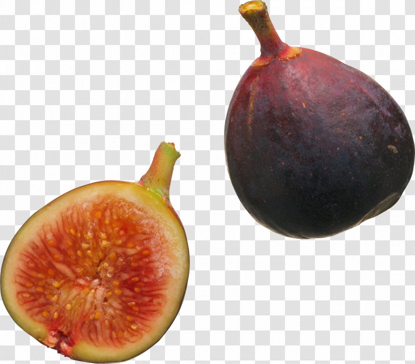 Common Fig Fruit Food Auglis - Accessory Transparent PNG