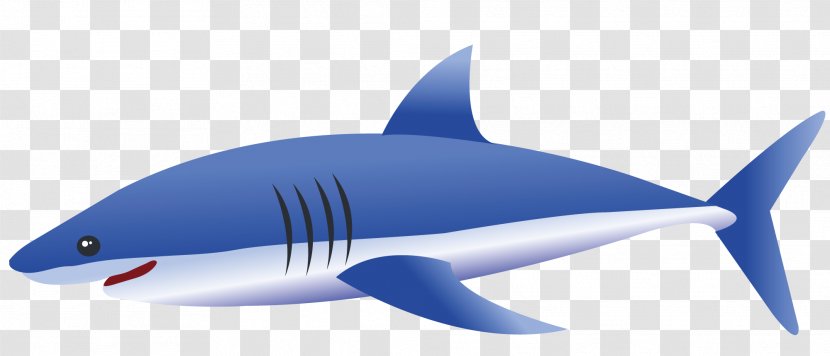 Tiger Shark Fin Blue - Fish - Big Transparent PNG