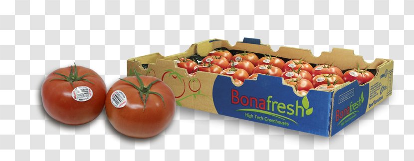 Tomato Natural Foods Local Food - Vegetable - Beefsteak Transparent PNG