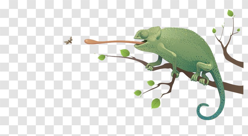 Chameleons Lizard Clip Art - The Insects Are Picking Up Lizards Transparent PNG