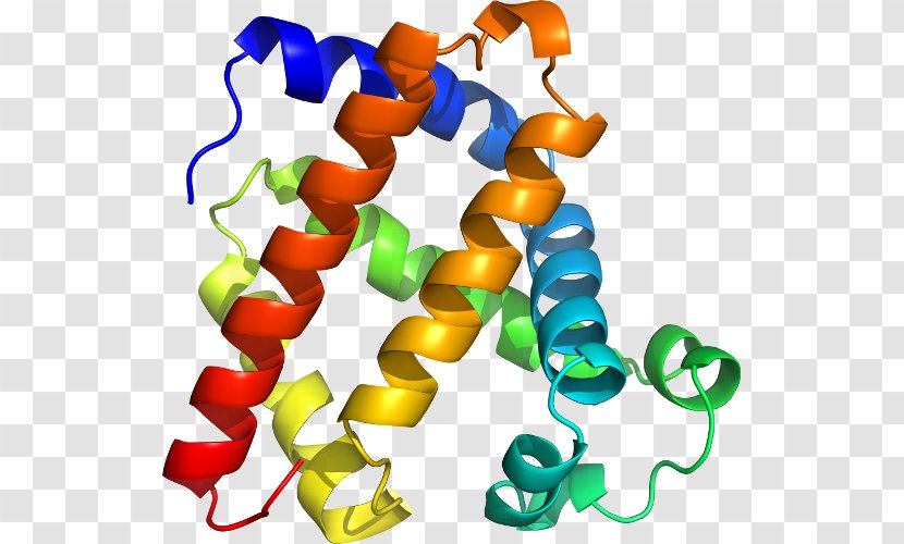 Clip Art Product Organism Line - P24 Capsid Protein Transparent PNG