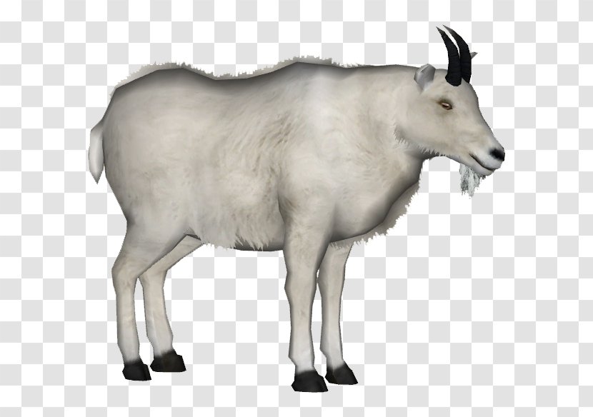 Mountain Goat Animal Platypus - Cow Family Transparent PNG