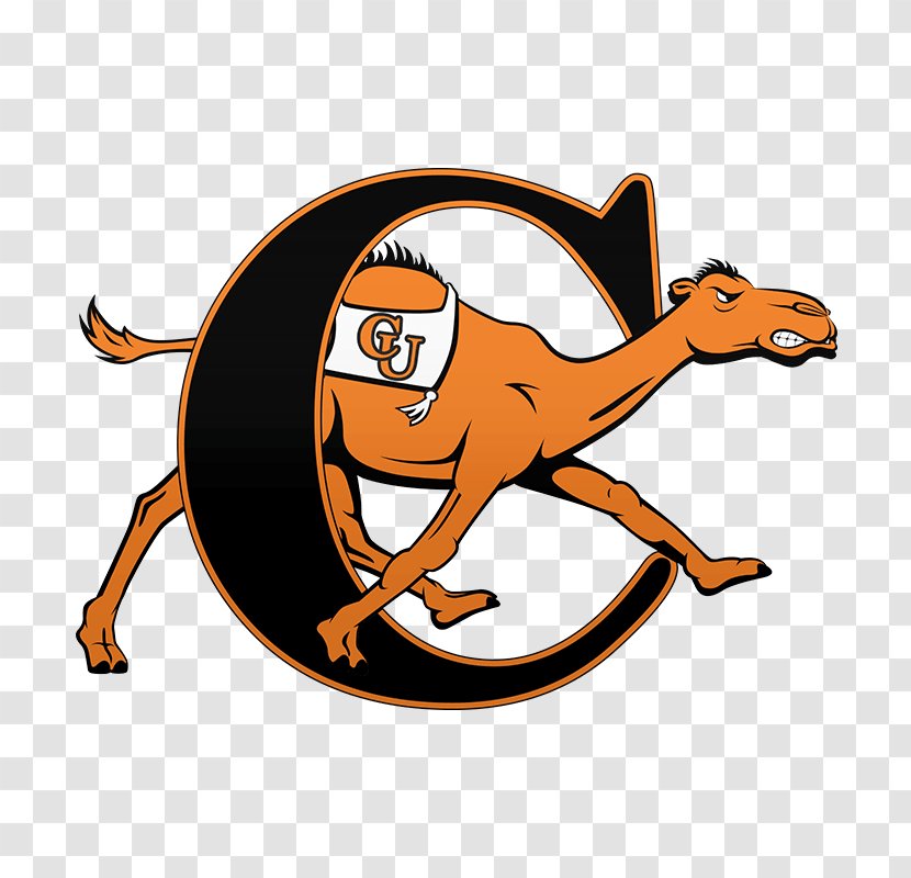 Campbell University Fighting Camels Men's Basketball Women's Football Longwood - Cartoon Transparent PNG