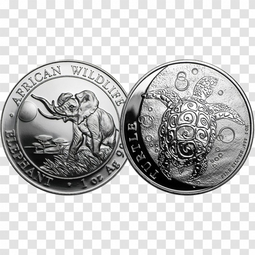 Silver Coin Bullion Chinese Panda - Mint Transparent PNG