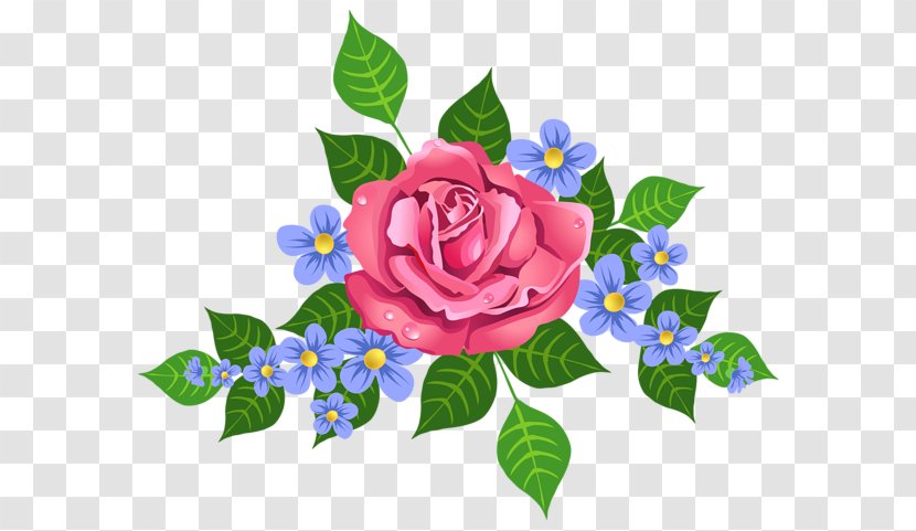 Garden Roses Paper Floral Design Cabbage Rose Clip Art - Flower Transparent PNG